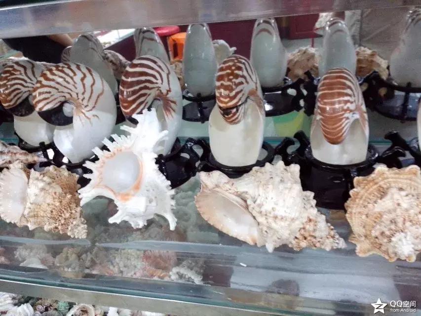 海南环岛自由行攻略最详细,海南环岛骑车多少公里