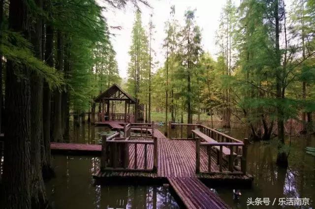 江宁感悟,近些年来南京市江宁区巨变成就