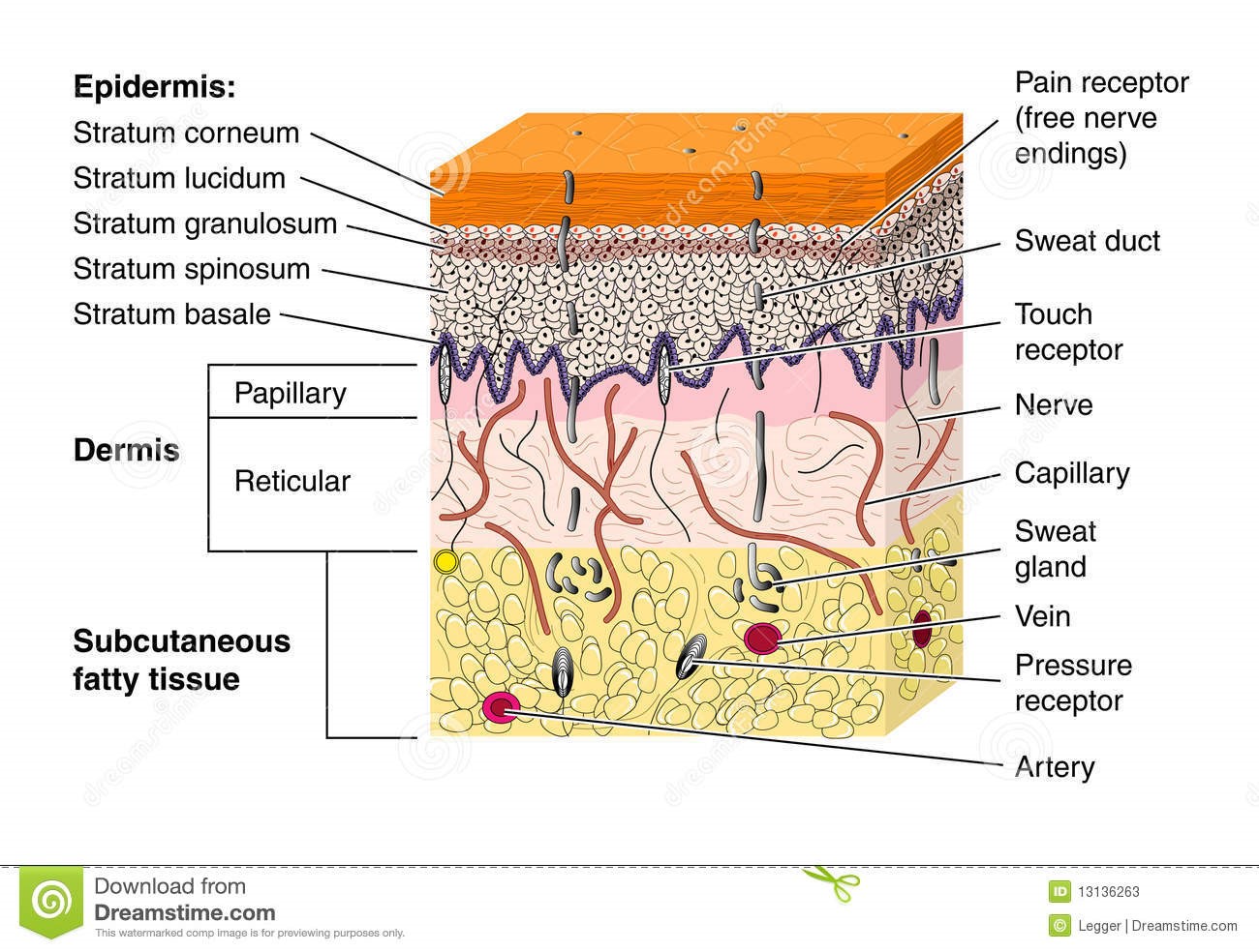 合适30岁左右女性使用的面膜,面膜越敷越老