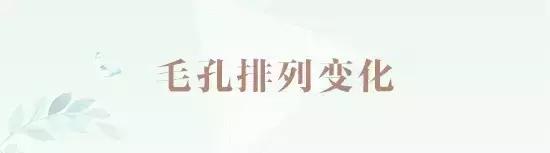 关于面膜的功能你要知道的,你不知道的食物面膜