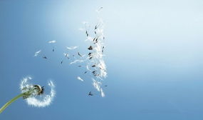 你再也遇不到像我这样爱你的人了,你还能遇到像我这样爱你的人吗