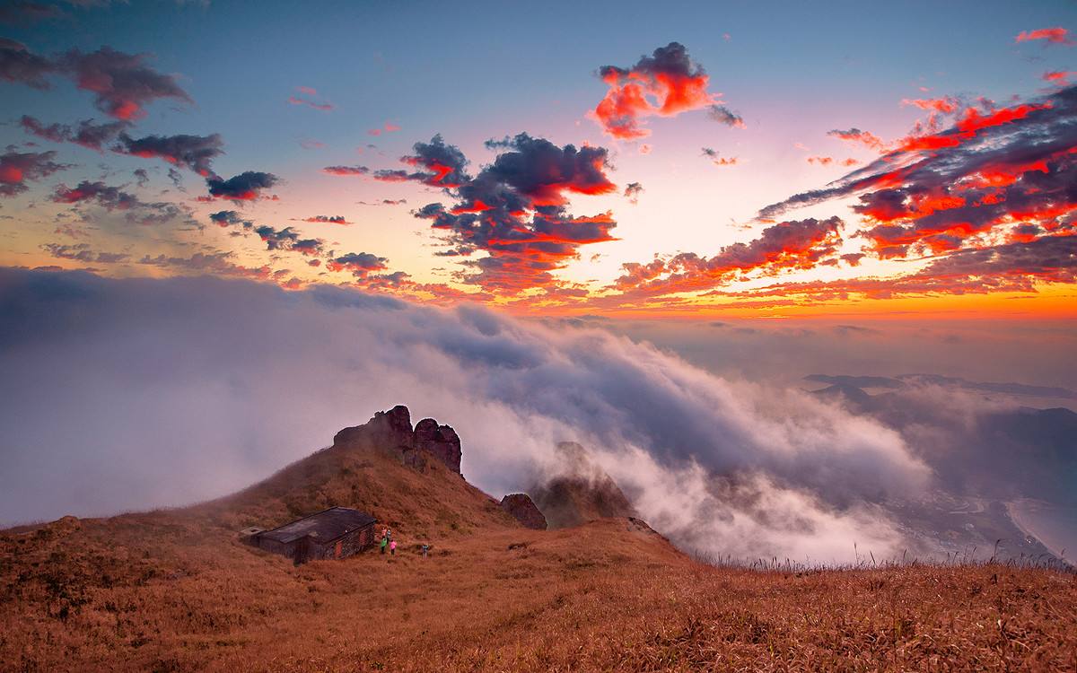 除了代购专柜还有什么渠道,除了代购哪个免税店能够直邮