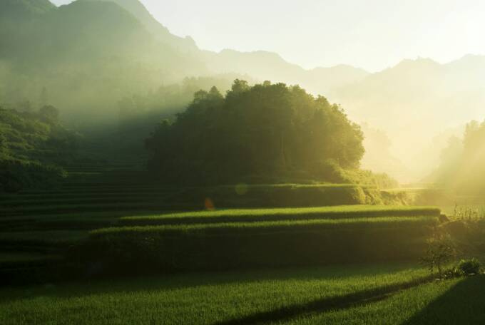 茶马古道丽水金沙,盐茶古道日照
