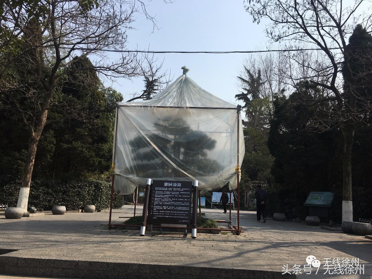 三民街的石板路，名校往事，老政府大院的1924，看徐州这条路