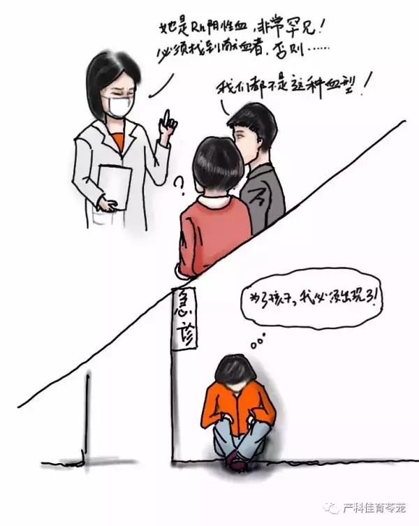 熊猫血女性是不是怀了容易流产,熊猫血的女人是不是很难受孕