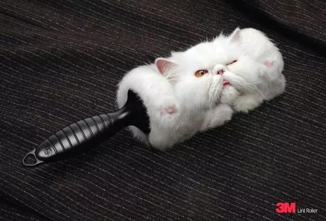 今日创意广告最新分享,简单粗暴创意广告