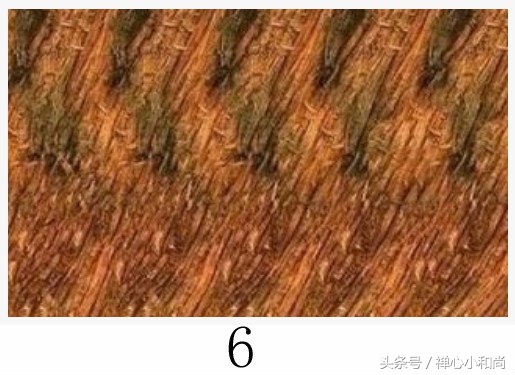 最强大脑小四道歉完全版,最强大脑小四和魏教授吵架