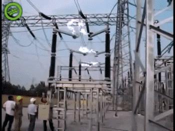 爆笑虫子和螳螂,螳螂昆虫搞笑视频