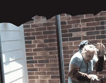 爆笑虫子和螳螂,螳螂昆虫搞笑视频