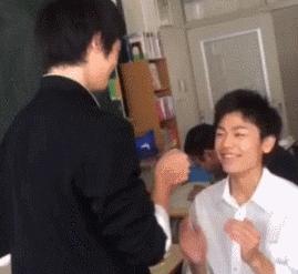 爆笑虫子和螳螂,螳螂昆虫搞笑视频