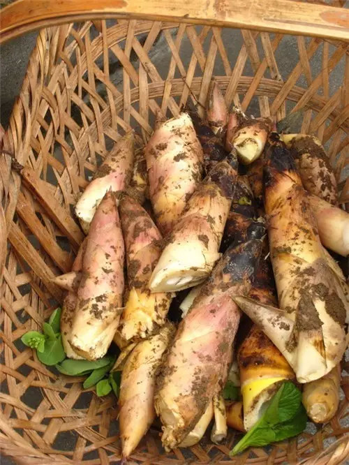 安徽宏村古镇有什么好吃的,黟县宏村旅游必备美食有哪些