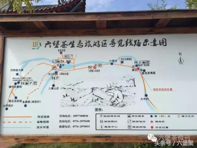 六堡茶黎宝林,茶江湖茶业旗舰店