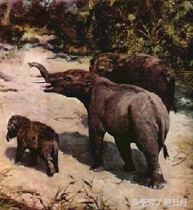 史前象科：大家伙们成为了早期人类的肉类仓库