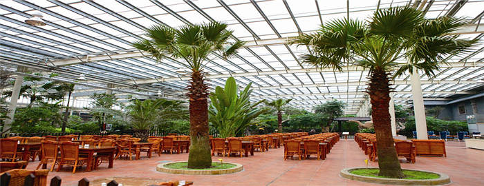 天津龙达生态城，有生态美食园，吃货玩家专享