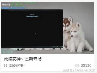 熊猫平台是怎么来的,熊猫在线平台是骗局吗