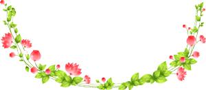 泰国游记第一季,自由行泰国雅思