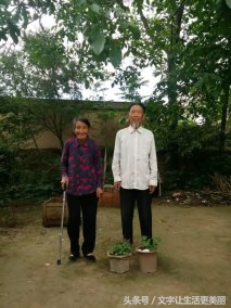 苏家山秦剧团，甘谷乡村文化的先行者！