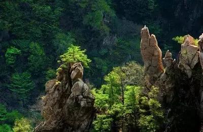 众里寻她千百度视频,众里寻她千百度作品