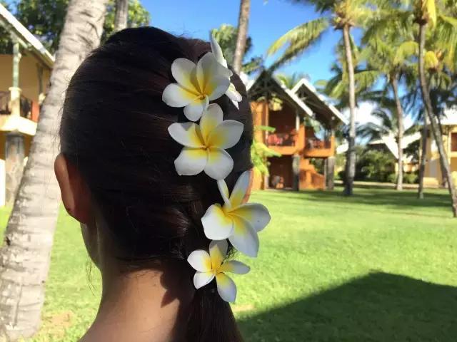 毛里求斯，拿水壶换保时捷的天堂