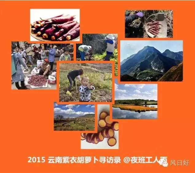 离开热爱二十多年的传媒行业 只为能让身边人吃到干净食材