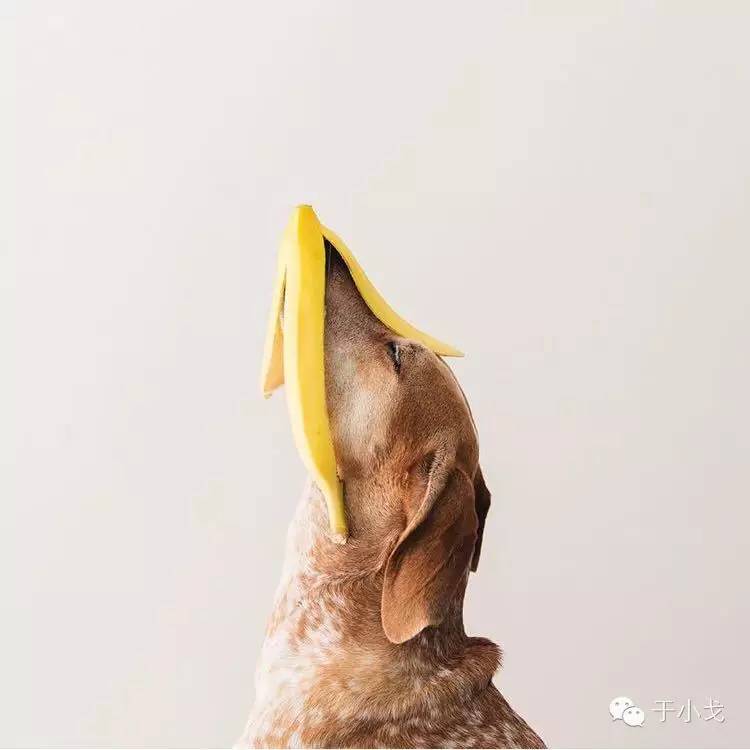 过年给公婆买什么礼物合适,过年应该给爸妈公婆买什么礼物