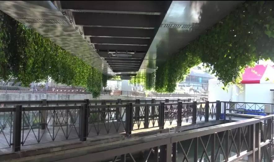 这份为了杭州的“垂直绿化”倡议书，请您查收！