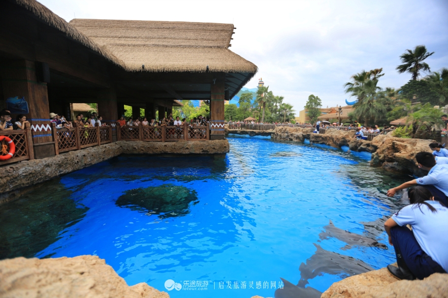 海底两万里海底旅游图,美丽的海底世界珠海长隆海洋王国