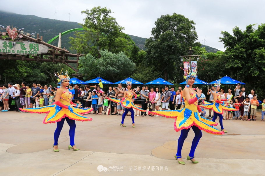 海底两万里海底旅游图,美丽的海底世界珠海长隆海洋王国