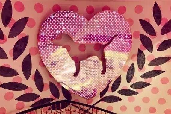 维密官网中国官方旗舰店,维密中国旗舰店