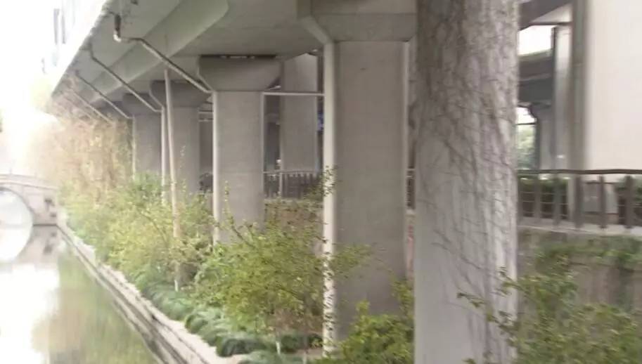 这份为了杭州的“垂直绿化”倡议书，请您查收！