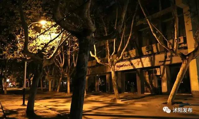 沭阳是一个怎么样的城市,沭阳究竟是什么样一个城市