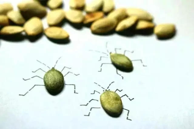 小学生一幅树叶画,秋天树叶图片卡通画