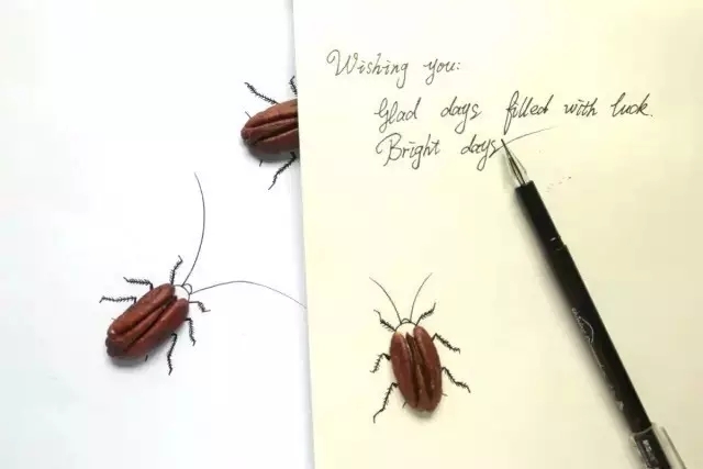 小学生一幅树叶画,秋天树叶图片卡通画