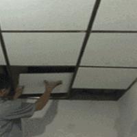 外国小鲜肉只花400元竟然租到了北京二环的房子，然而刚拿到房子的瞬间却差点哭了出来