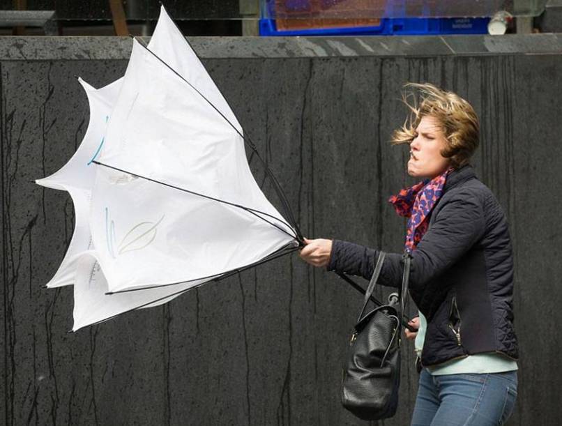 低调的折叠雨伞,日式折叠晴雨伞