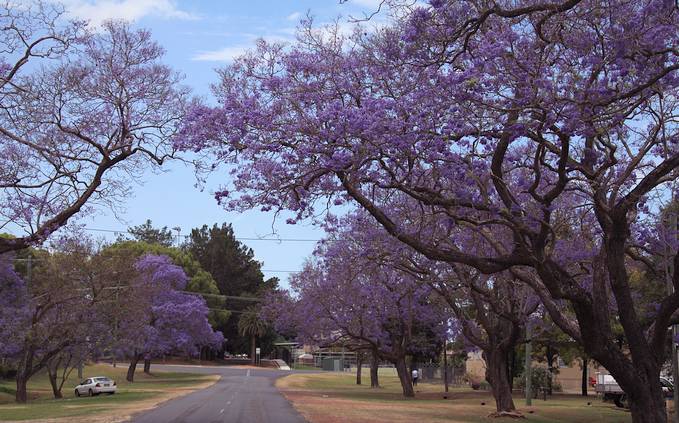 春暖花开踏青正当时完全版,春暖花开踏青季攻略