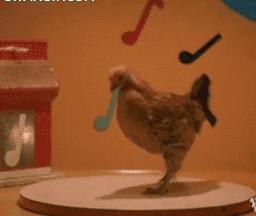 想当年，大公鸡它竟然啄了我的……！