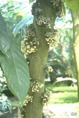 邓丽君浓情蜜意,浓情蜜意对仗句