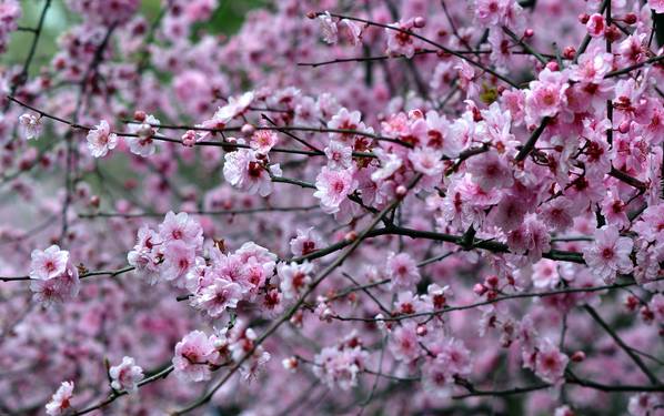 春暖花开踏青正当时完全版,春暖花开踏青季攻略