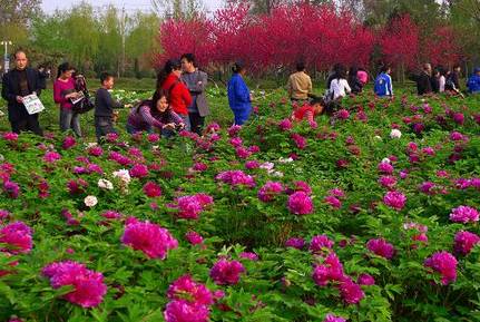 春暖花开踏青正当时完全版,春暖花开踏青季攻略