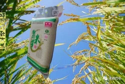 3.15消费指南，巴中这么多产品都被“曝光”啦~