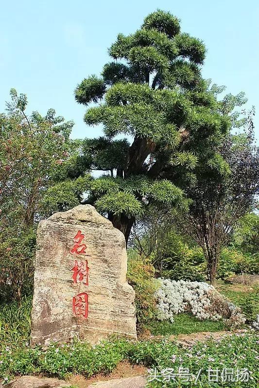 周末中山值得去打卡的地方,中山周末去耍的公园