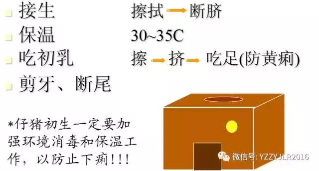 仔猪流行性腹泻怎么鉴别,仔猪流行性腹泻的症状及防治措施