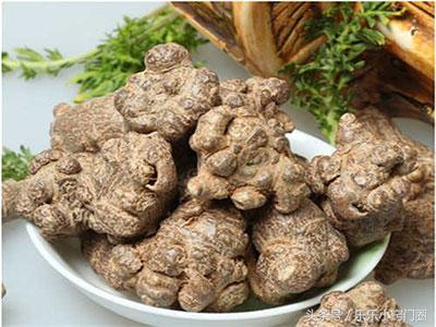 三七对脑梗塞功效与功能,脑梗塞吃药能够吃三七吗