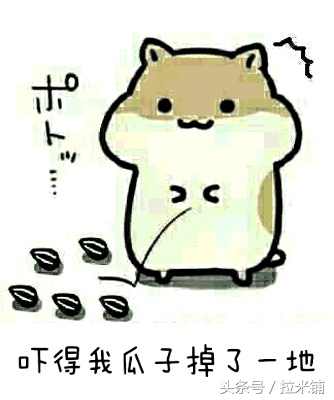 海淘热潮已过，实体才是王道