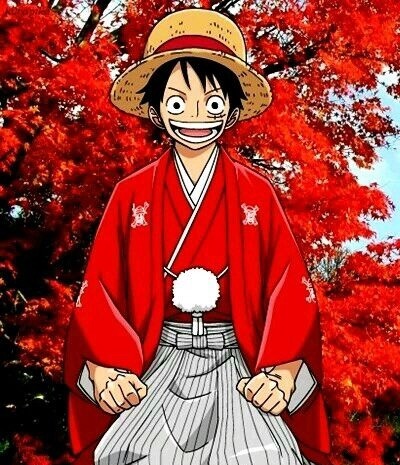 海贼王草帽团娜美罗宾日常生活,海贼王罗宾娜美新服装