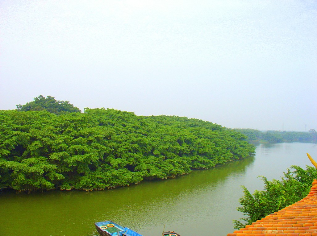 谭咏麟广东新会哪里的,谭咏麟故乡梦粤语