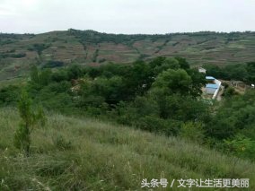 苏家山秦剧团，甘谷乡村文化的先行者！