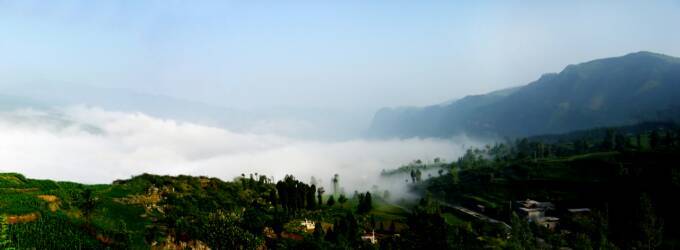 茶马古道丽水金沙,盐茶古道日照