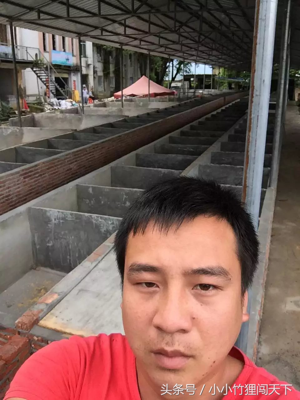 养殖竹鼠违法吗,竹鼠养殖合法吗
